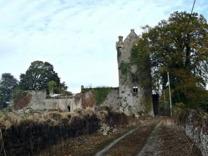 Ballyclough Castle, Ireland